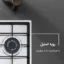 اجاق گاز ایلیا استیل مدل S513D